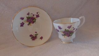 Royal Westminster English Bone China Tea Cup Saucer Purple Violets Gold Rim 2