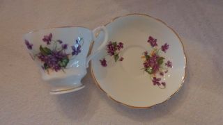 Royal Westminster English Bone China Tea Cup Saucer Purple Violets Gold Rim 4