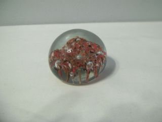 Small Round Glass Ball Paperweight W/ Colorful Flowers With Bubbles In Center