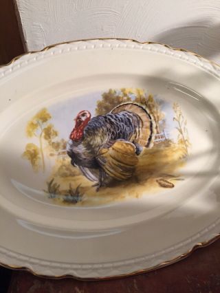 Vintage Embassy China Thanksgiving Turkey Serving Platter Vitrified 15 " Usa Made