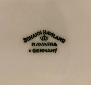 JOHANN HAVILAND BAVARIA GERMANY FOREVER SPRING 8” FLAT RIM SOUP SALAD BOWL DISH 5