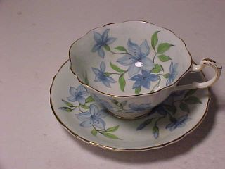 Paragon Cup And Saucer Green & Blue Flowers On Pale Green/blue