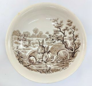 Vintage Copeland Spode England Bunny Rabbits Mug and Bowl Porcelin Tableware 3