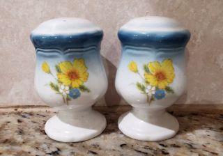 Mikasa China Country Club Amy Salt & Pepper Shakers