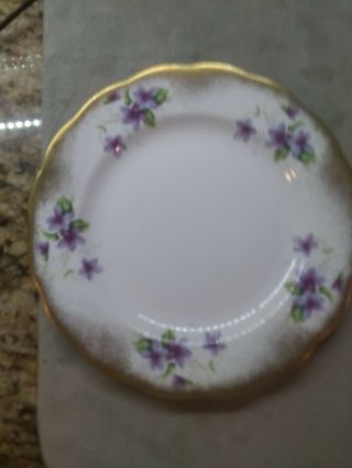 Royal Standard Fine Bone China 8” Purple Violet Plate Heavy Gold Made In England