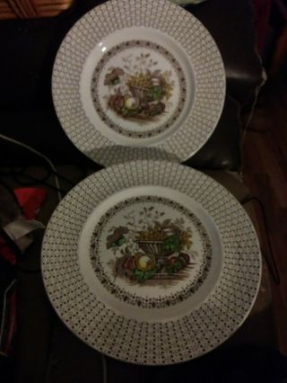 Vintage 2 Dinner Plates Empire Porcelain Beverley Dinnerware England,  10 Inch