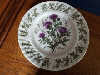 St.  Andrews Pottery Flowers Of Scotland Collectible Bone China Plate