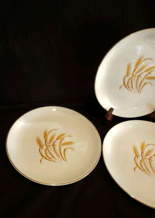 Vintage Golden Wheat Dish Homer Laughlin White Plate 22k Gold Set of 4 - 9 
