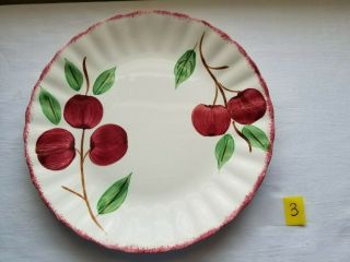 Blue Ridge Southern Potteries Colonial Crab Apple 3773 Dinner Plate 9 1/4 "
