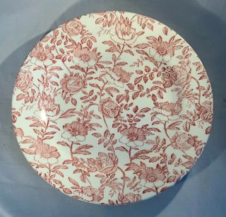 Churchill Pink Peony - Red Rose - Floral - Dinner Plate - England - Discontinued - 10.  5”