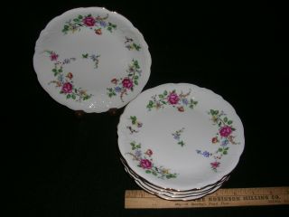 Set Of 6 Bread & Butter Plates - Sheraton Rose Pattern By Wawel China Of Poland