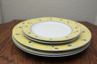 Royal Doulton Blueberry Set Of 3 Dinner Plates And 2 Salad Plates In Good Cond