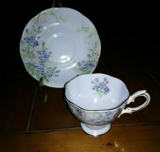Vintage Royal Albert English Bone China Teacup & Saucer 