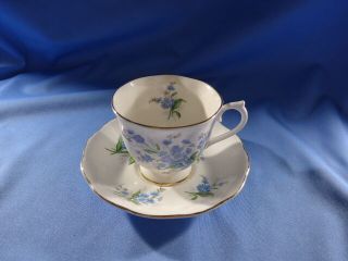 Vintage Royal Albert China Footed Cup And Saucer Forget Me Not