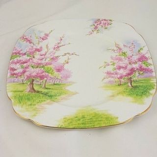 Dinner Plate By Royal Albert In Blossom Time Pattern 9 5/8 "