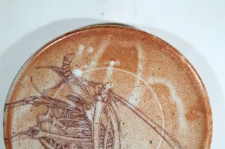 MCM Shino Glaze Crackle 3D Op Art Scorpion Carcass Studio Pottery Plate Eames In 2