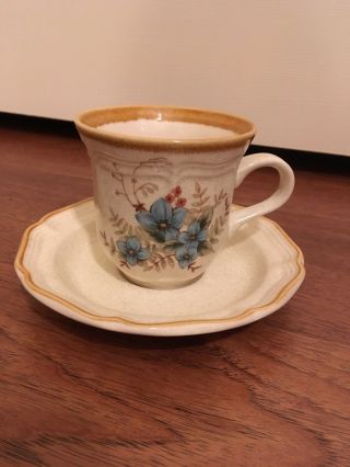 Mikasa China Day Dreams Ec461 Garden Club Cup And Saucer Vintage Japan