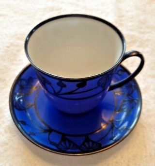 Rosenthal Selb - Plossberg Porcelain Hand Paint Tea Cup & Saucer German Sinofonia