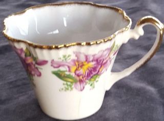 Vintage Salisbury Bone China Teacup - Cracked - Garland Pattern 2518a - Pretty
