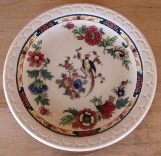 Vintage Syracuse China Econo - Rim Tan Jewel Tone Floral Bread Plate W/ Pheasant