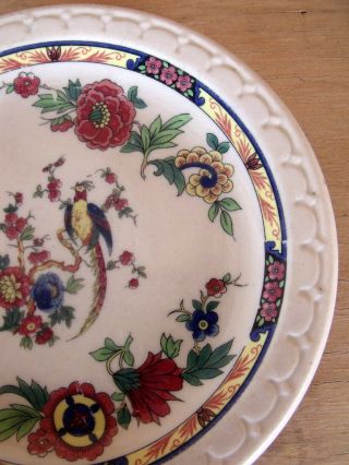 Vintage Syracuse China Econo - Rim Tan Jewel Tone Floral Bread Plate w/ Pheasant 4