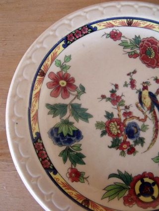 Vintage Syracuse China Econo - Rim Tan Jewel Tone Floral Bread Plate w/ Pheasant 5