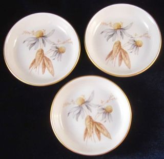 Thomas Rosenthal Porcelain Butter Pats - Set Of 3 - 7498 - 3.  25 In.  - Germany