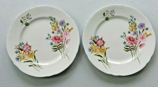 Shelly 6 " Plates " Wild Flowers " 13668 Set Of 2