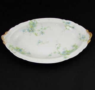 Theodore Haviland French Limoges Louis Xv - Vincennes Schleiger Blue Floral Tray
