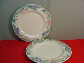Pfaltzgraff China Garden Party Two Dinner Plates