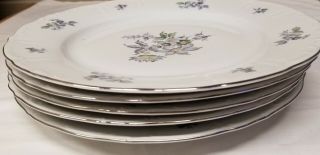 A Set Of 5 Vintage Bohemian Fine China Dinner Plates Wild Flower Pattern 10 "