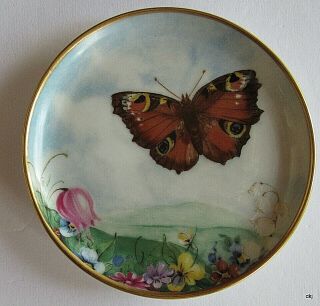 Kaiser W Germany Tagpfauenauge Porcelain Butterfly Floral Small Plate Dish