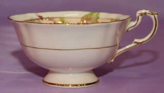 Paragon Cabbage Rose English Bone China Orphan Teacup Coffee Tea Cup 3