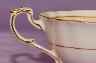 Paragon Cabbage Rose English Bone China Orphan Teacup Coffee Tea Cup 4