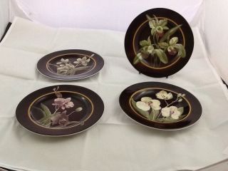 Set Of 4 American Atelier Floral Ecstacy 8 " Plates