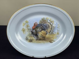 Large Homer Laughlin Turkey Platter Usa 13.  5 Inches Kraft Blue