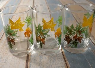 Set Of 3 Vintage Salem Maple Leaf Pattern Juice Glasses 3.  5 "