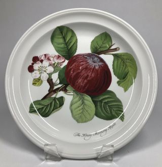 Portmeirion " Pomona " 8 5/8 " Hoary Morning Apple Salad Plate