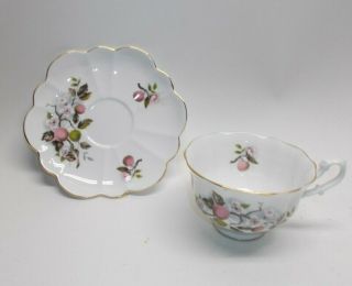 Shelley Fine Bone China Tea Ware Fruit Tree White Blossoms Cup & Saucer A660 Ml