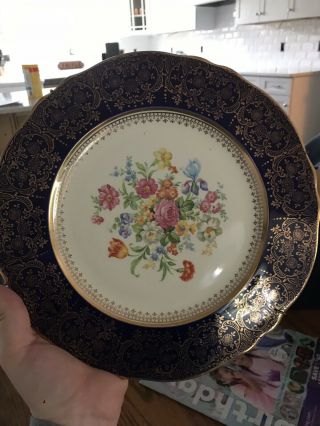 Steubenville 11 " Dinner Plate 2049 Dark Blue/gold Trim Floral Vintage