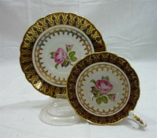 English Hand Painted Pink Roses Royal Stafford Bone China Gold Tea Cup & Saucer