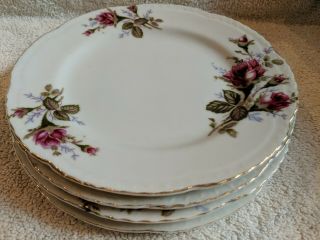 Vintage Set Of 4 Pink Rose Gold Trim 7.  5 " Salad Plates China