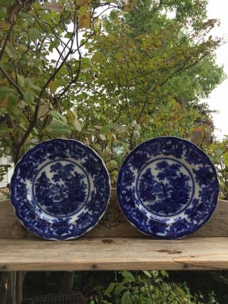 Early/old Antique Flow Blue Dinner Plates