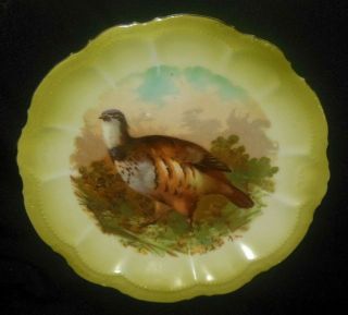 P M Bavaria Hand Decorated Game Bird In Field Embossed Rim Plate 1904