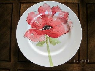 Red Poppy Dinner Plate 11 " Royal Stafford England Pink Multi - Available