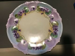 Vintage Hand Painted Floral Rosenthal China Bavarian Plate 8