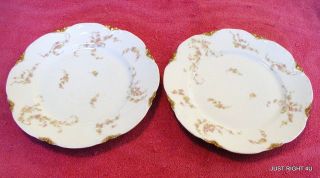 {set Of 2}haviland H&co (schleiger 233a) 8 1/2 " Luncheon Plates Guc
