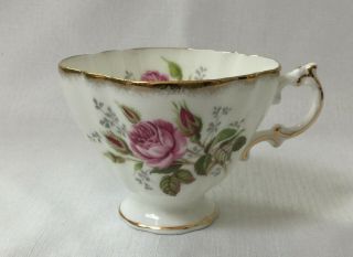 Paragon Pink Flower Gold Gilt Orphan Tea Cup