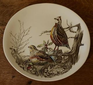 Johnson Brothers Game Birds Quail 11 " Dinner Plate -