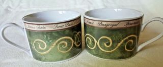 American Atelier Bouquet Garni Set Of 2 Cups Stonewear 5011